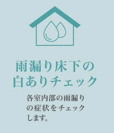 雨漏り床下の白ありチェック